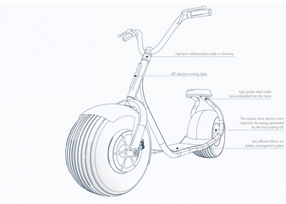 VERSATILE ELECTRIC SCOOTER